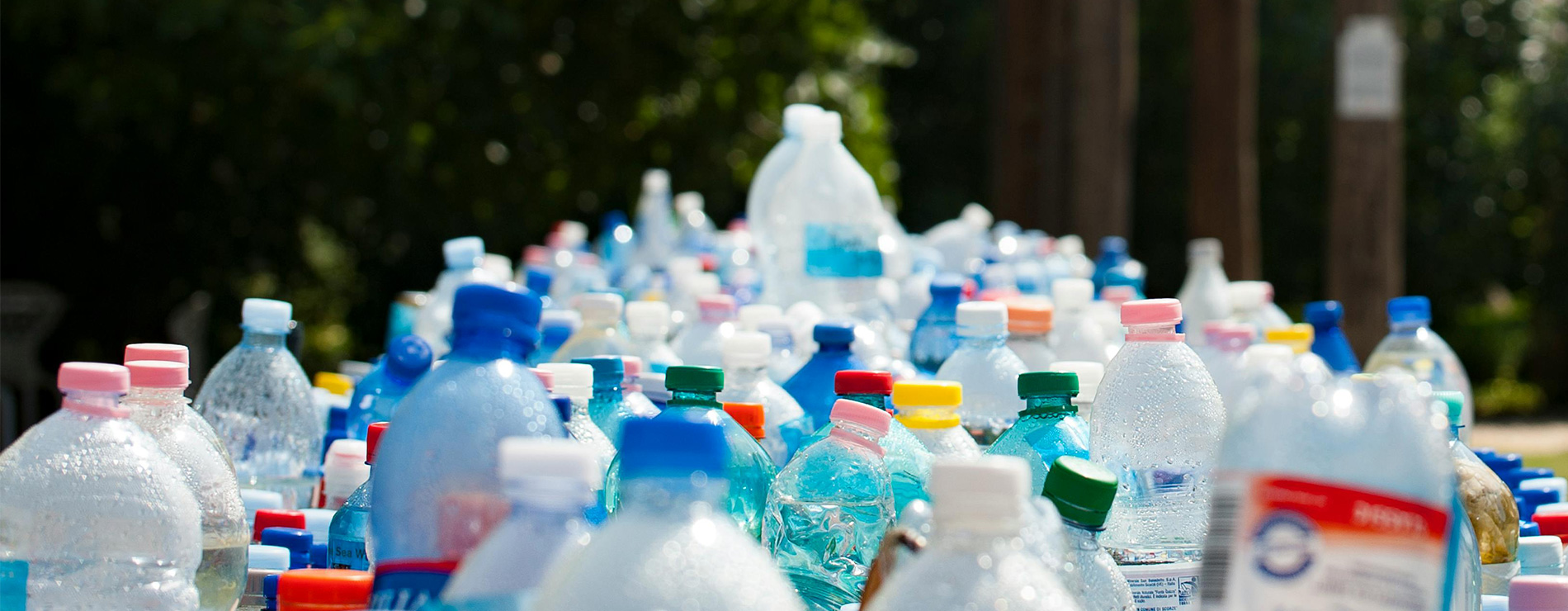 Botellas de plástico