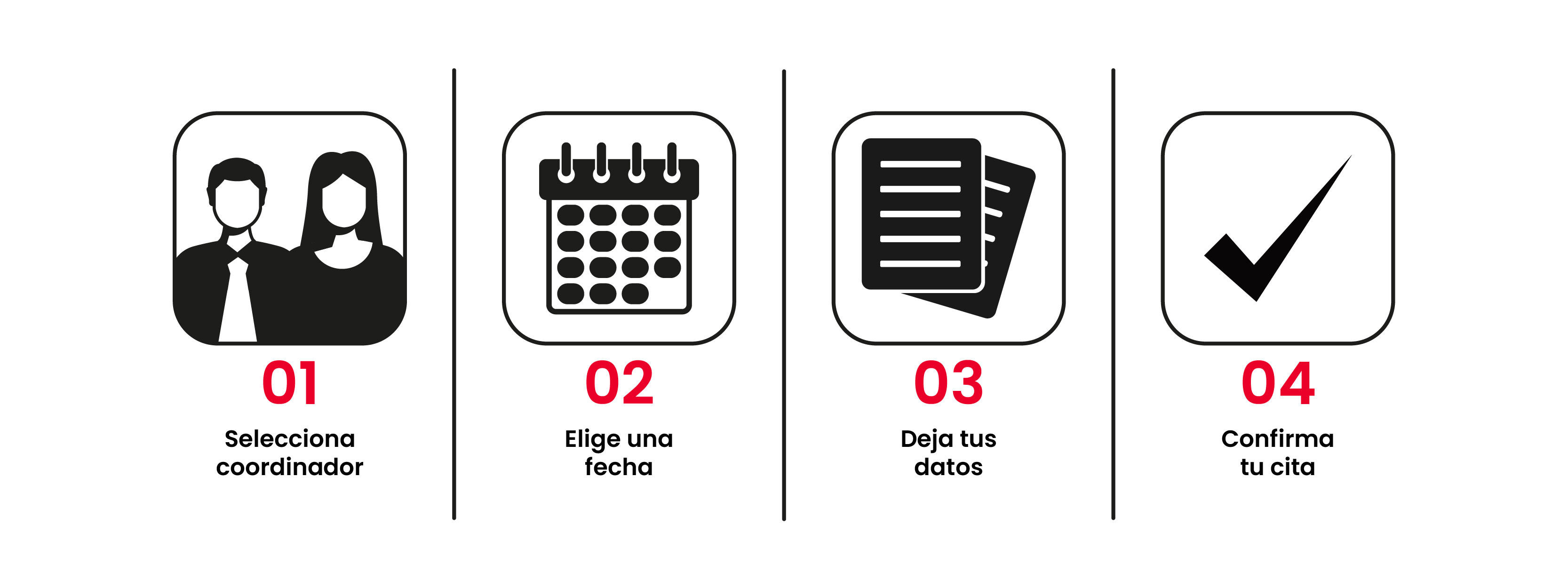 Proceso citas con coordinadores