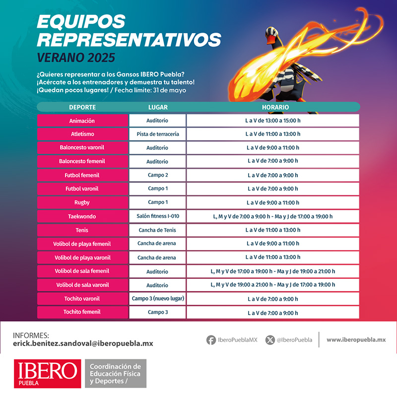 Equipos representativos